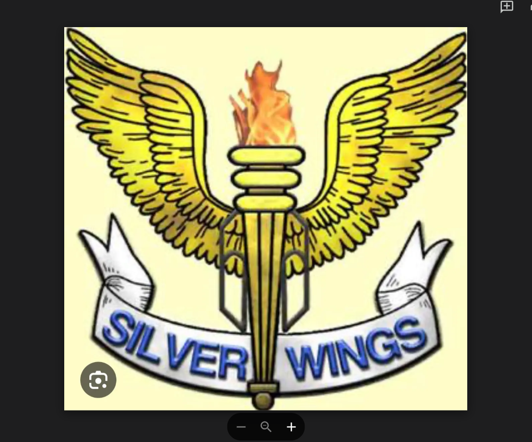 Silver Wings
